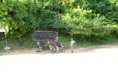 DSC_8439 (Large).JPG